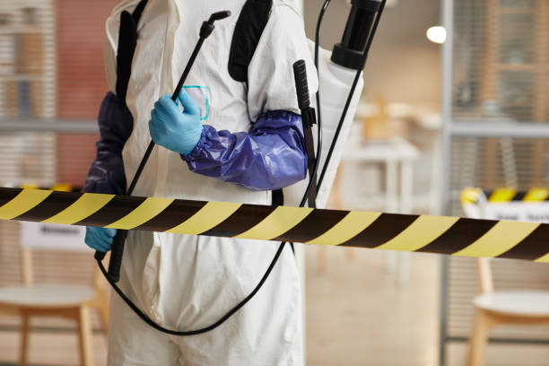 Professional Hoarding Cleanup technician working in Waco, NE